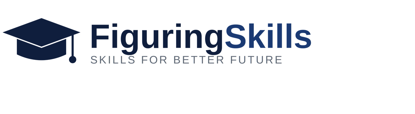 figuringskills-logo-transparent